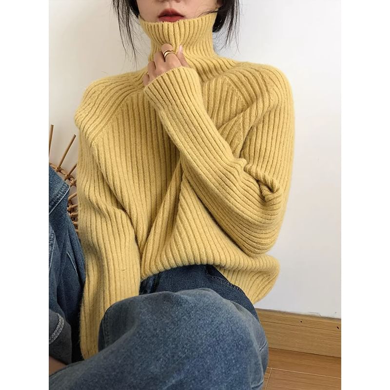 Turtleneck Plain Ribbed Sweater