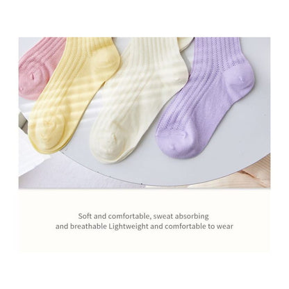 Contrast Trim Pointelle Knit Socks / Set