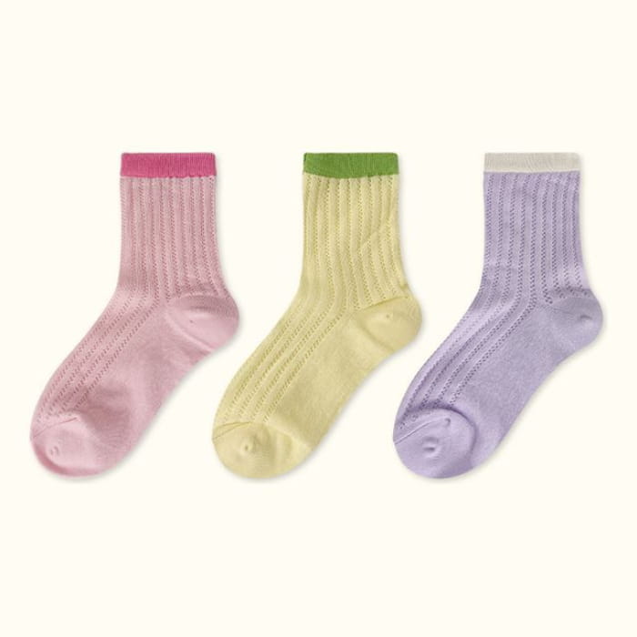 Contrast Trim Pointelle Knit Socks / Set - Type 02 - of 3