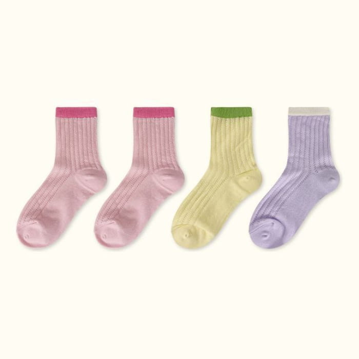 Contrast Trim Pointelle Knit Socks / Set - Type 09 - of 4