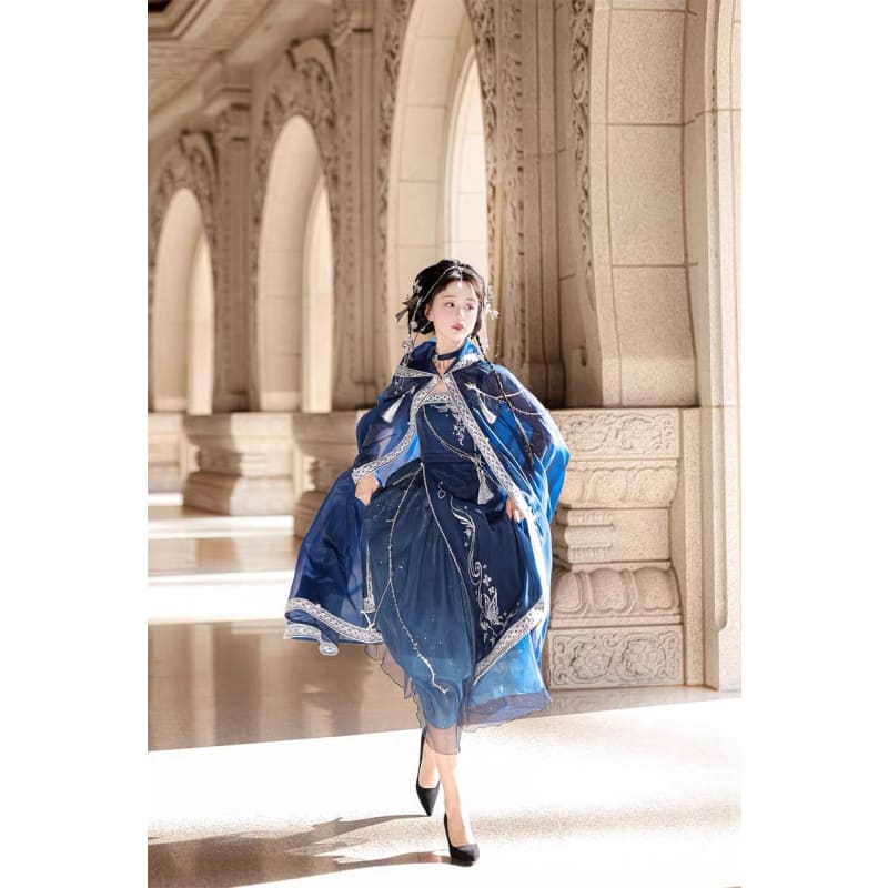 Elegant Starlight Assasin Dress - Modern Hanfu