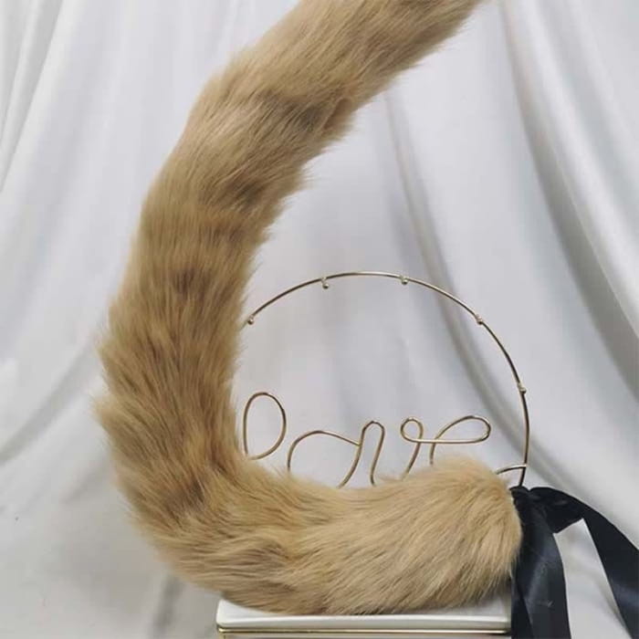 Furry Kitty Ears Tail Headband Accessory - One Size