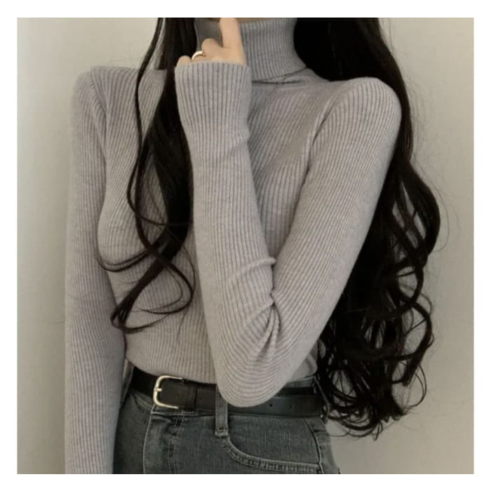 Long-Sleeve Turtleneck Plain Ribbed Knit Top