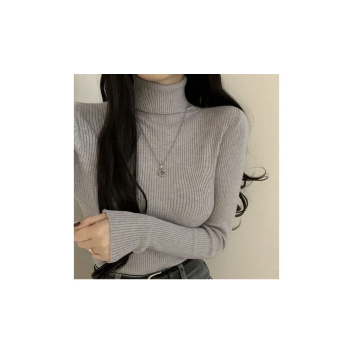 Long-Sleeve Turtleneck Plain Ribbed Knit Top