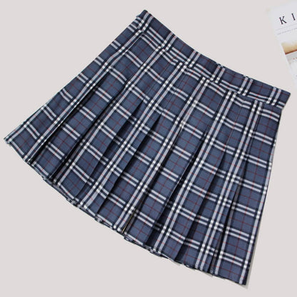 Plaid High Waist Casual Pleated Skirt - C / S