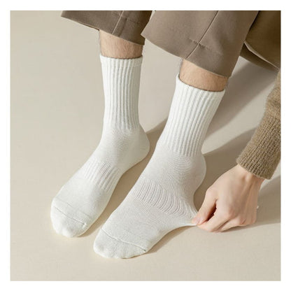 Plain Ribbed Socks / Set