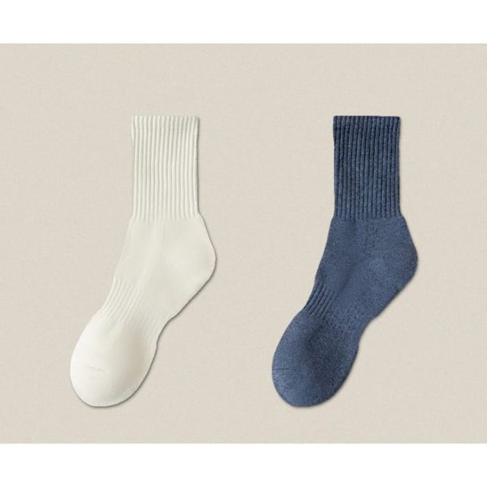 Plain Ribbed Socks / Set - Beige / Navy Blue / One Size