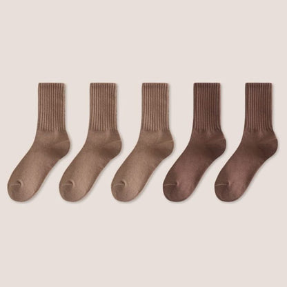 Set of 5: Plain Ribbed Socks - Of 5 Pairs - 3 Light Coffee