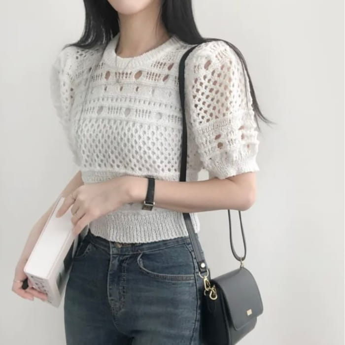 Short-Sleeve Crew Neck Plain Pointelle Knit Top