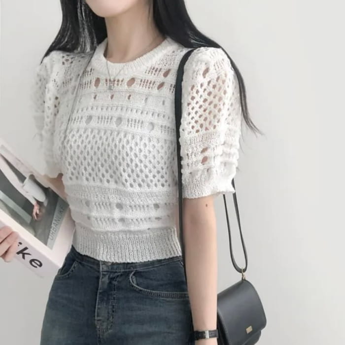 Short-Sleeve Crew Neck Plain Pointelle Knit Top