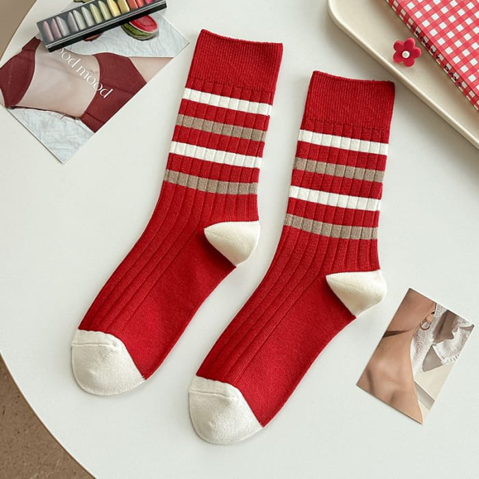 Striped Socks / Letter Embroidered / Set